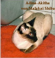 Akitha-4