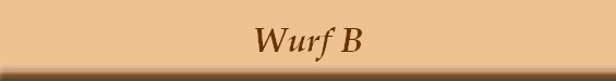 Wurf B
