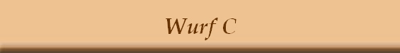 Wurf C