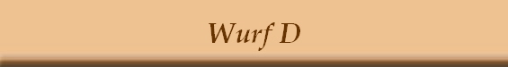 Wurf D