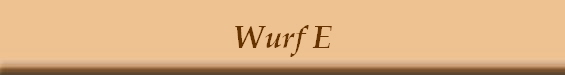 Wurf E