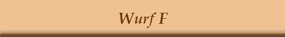 Wurf F